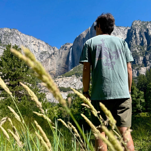 Meadow Frogs Graphic Tee